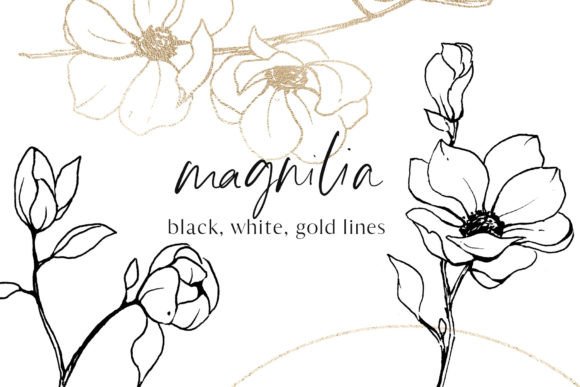 Elevate Your Designs with the Flowers Magnolia Line Art Floral Set
