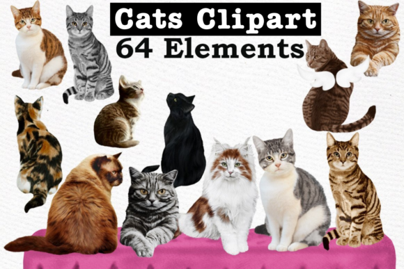 Unlock Creative Flexibility with the Cats Clipart Cat Breeds Cat Bundle