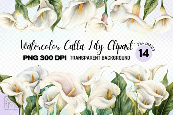 Watercolor Calla Lily Clipart PNG for Modern Design